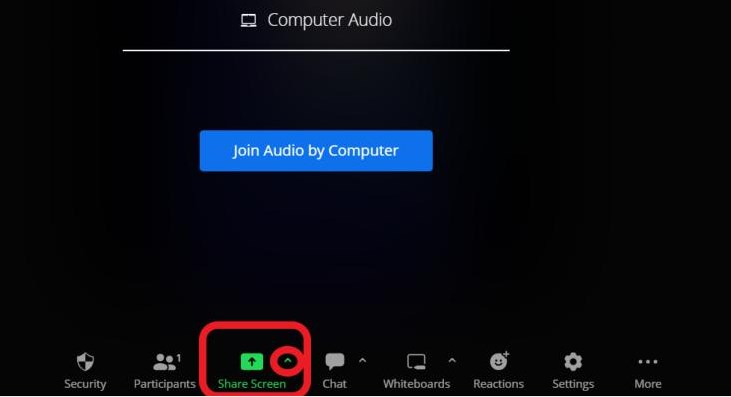 Share Screen option on Zoom