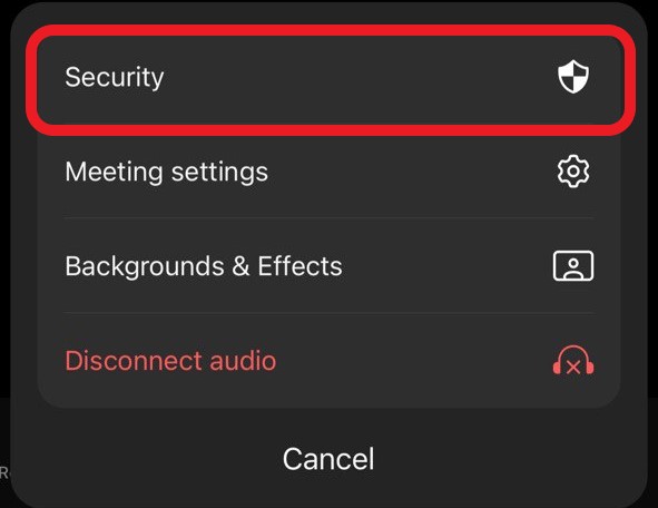 Security settings in Zoom Mobile