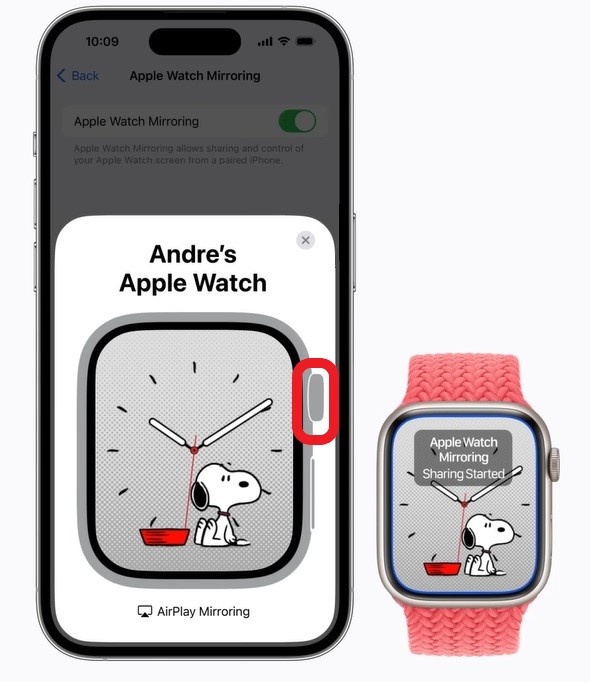 Digital Crown button on Apple Watch