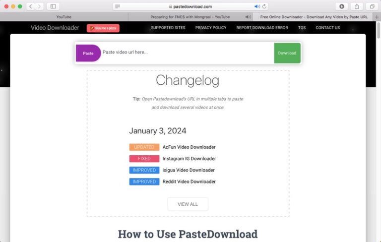 pastedownloader online interface
