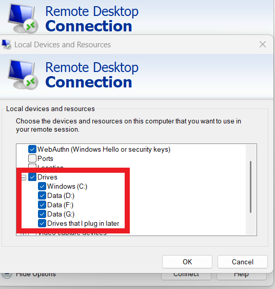 remote desktop drives