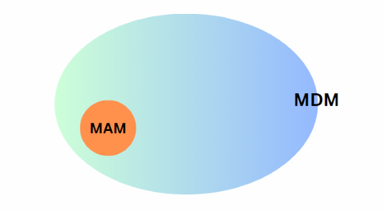 relationship-between-mam-and-mdm