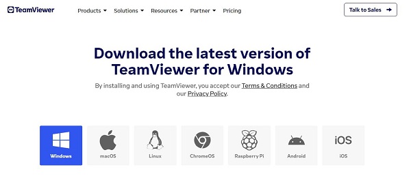 TeamViewer Compatibility