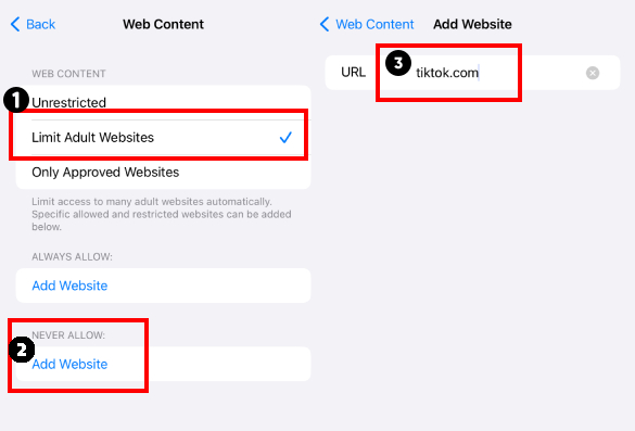 block TikTok website on iPhone