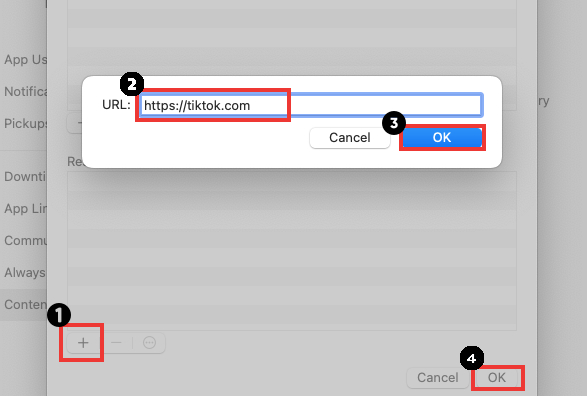 block the TikTok website on Mac