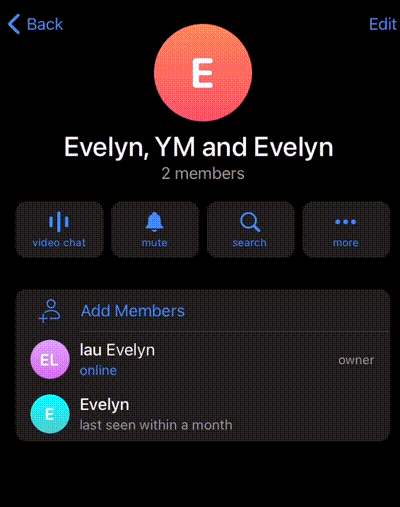 impossibile aggiungere alla chat di gruppo su Telegram