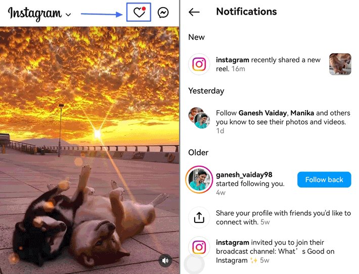 Instagram Gestion d'Activité