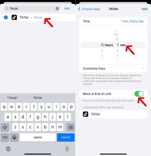 block TikTok app on iPhone