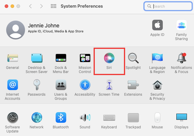 go to Siri settings on Mac