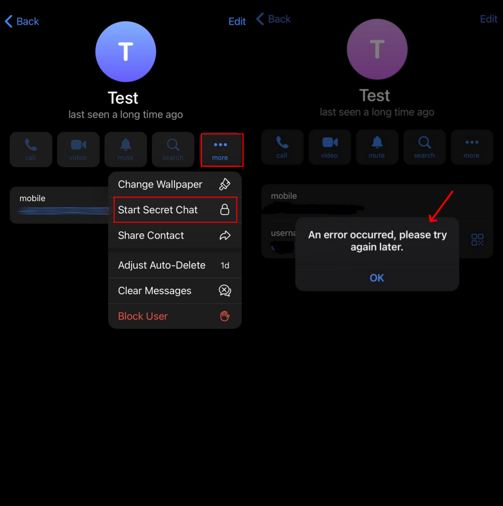 chat segreta fallita su Telegram