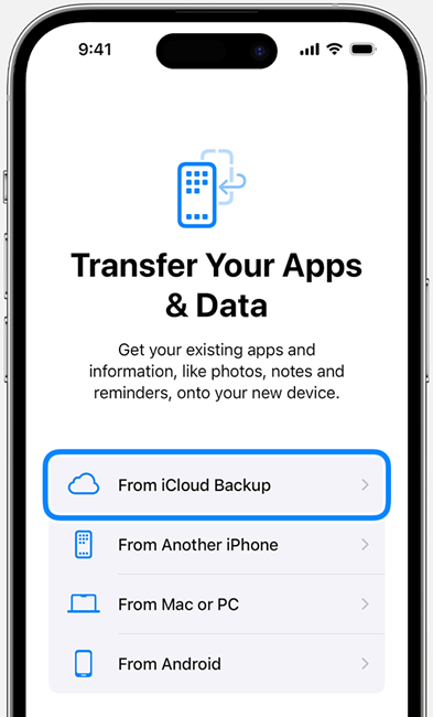 From iCloud Backup