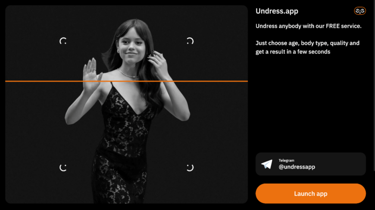 Undress AI interface