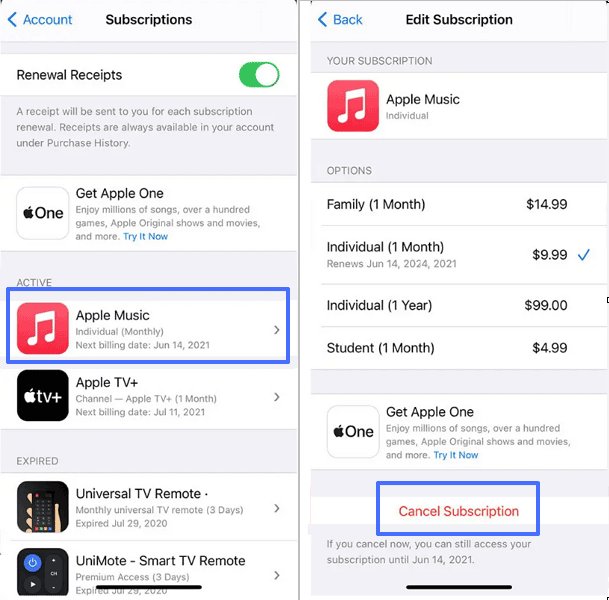 cancel unused subscription on iPhone