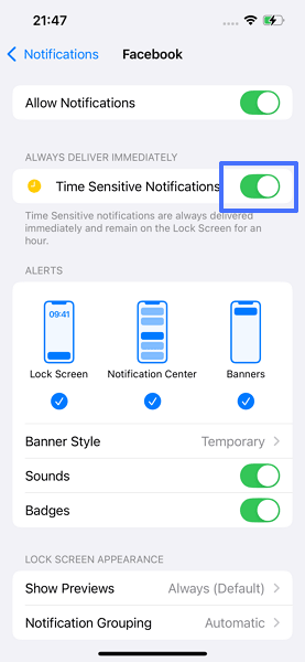 disable Time Sensitive Notifications