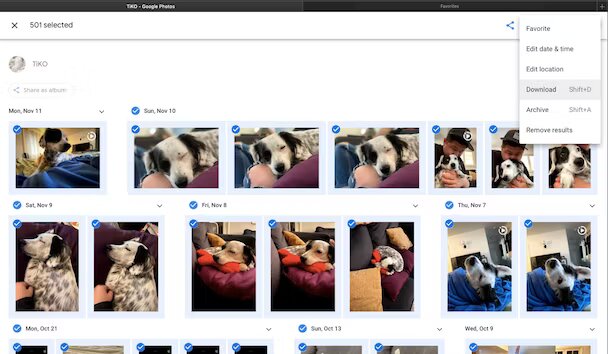 download google photos from browser (1)