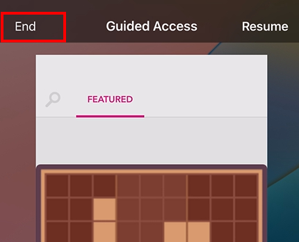 end Guide Access