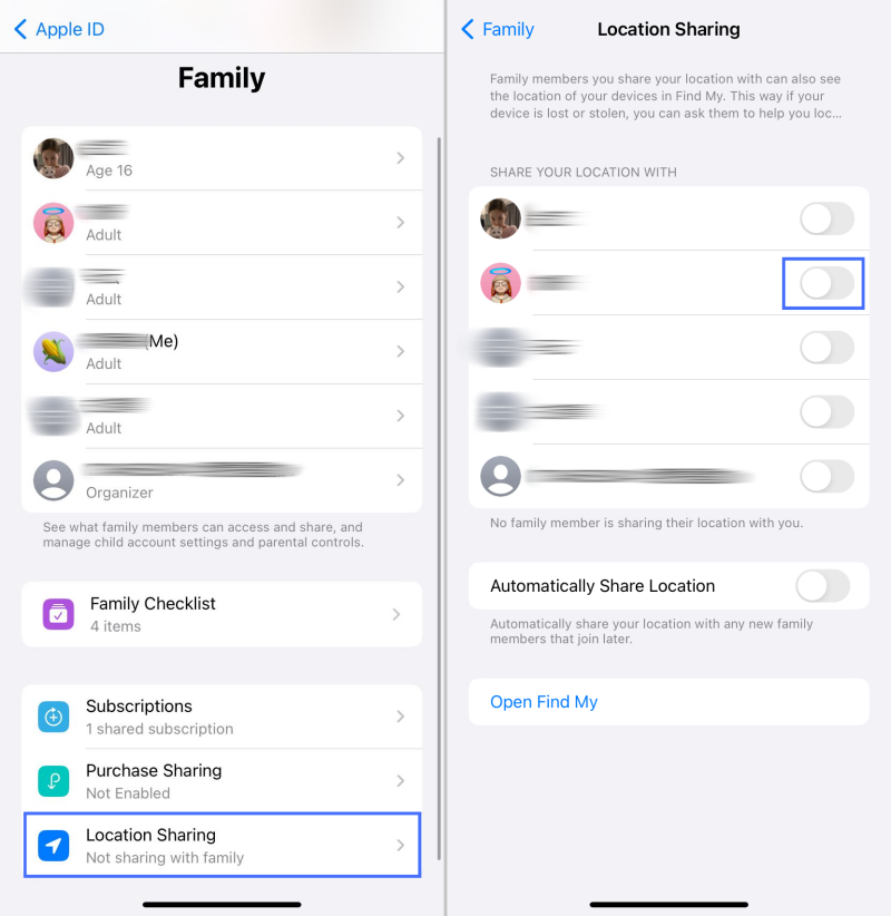 family location sharing on iPhone