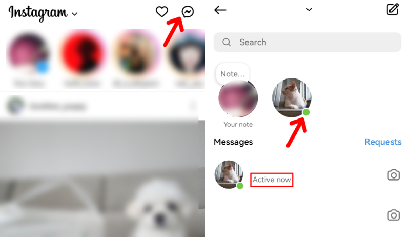 Comment voir la dernière connexion d'une personne sur Instagram grâce au point vert