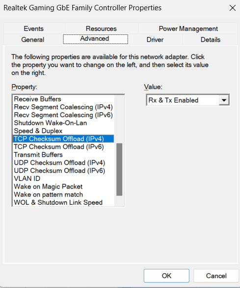 nic properties advanced tab