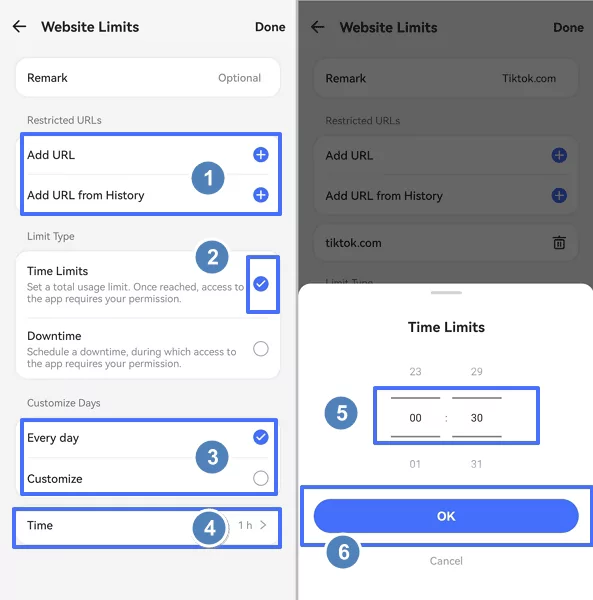 set time limits for websites