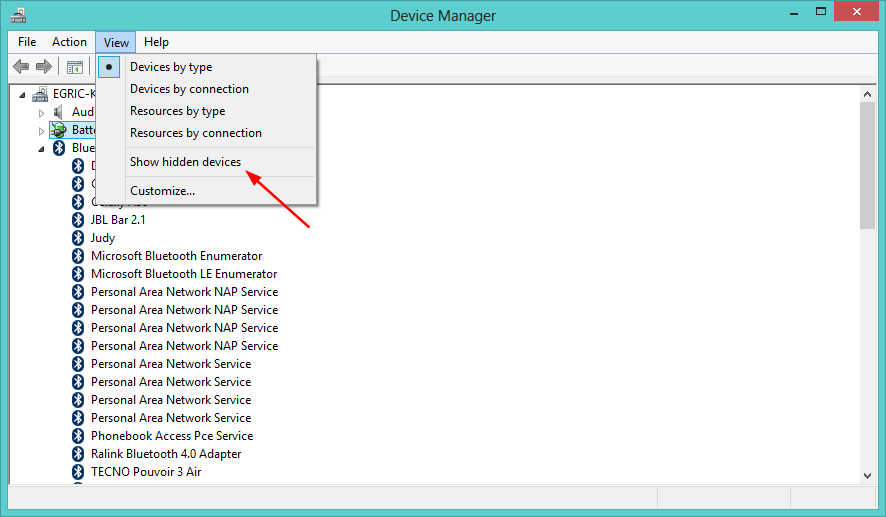 show hidden devices device manager