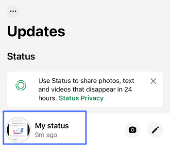 tap on My Status on WhatsApp iPhone