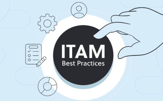 ITAM best prictices