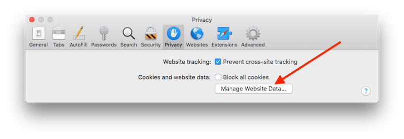 choose Manage Website Data in Privacy