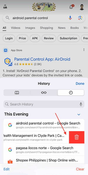 clear individual Safari history