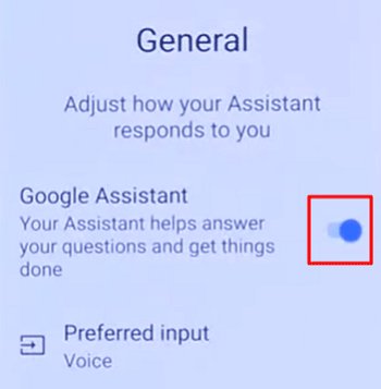 enable Google Assistant