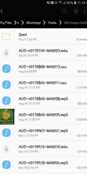 find whatsapp voice messages on android