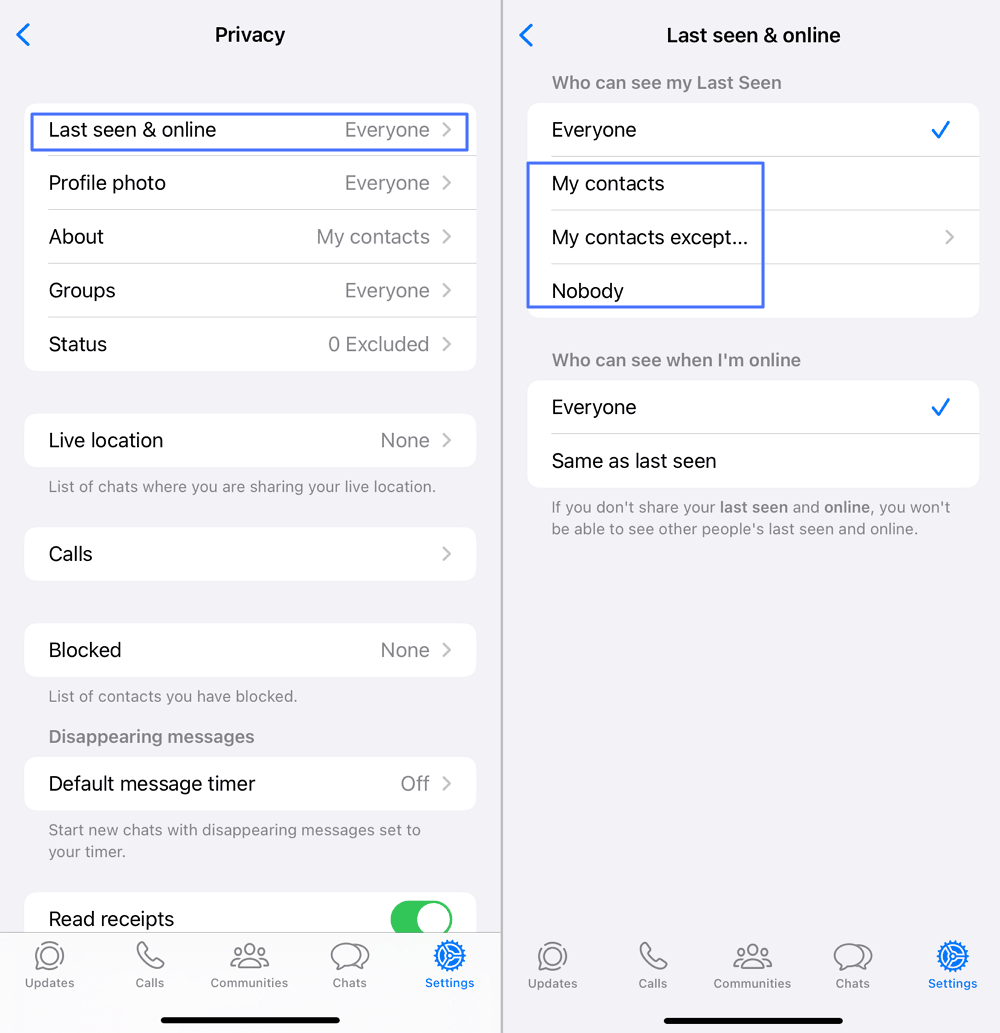 hide WhatsApp Last Seen on iPhone 