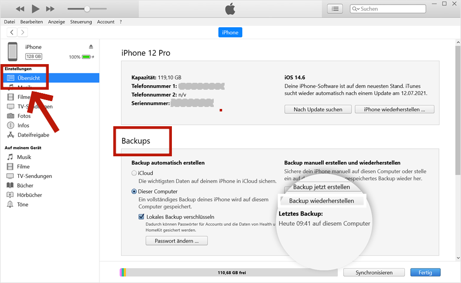 iTunes Übersicht und Backups