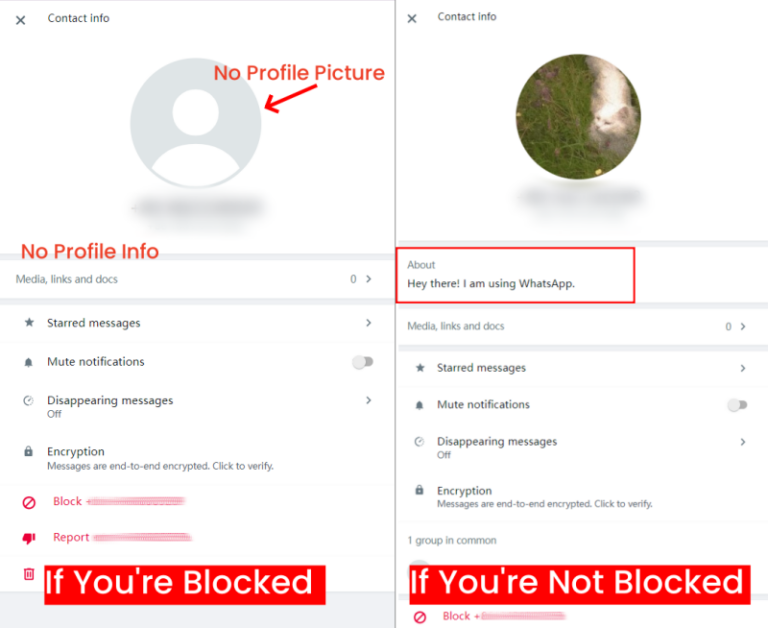 know if someone blocked you on WhatsApp