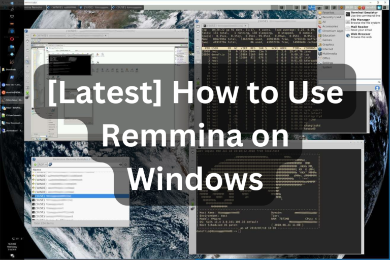 use Remmina on Windows