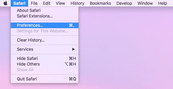 Safari Preferences setting