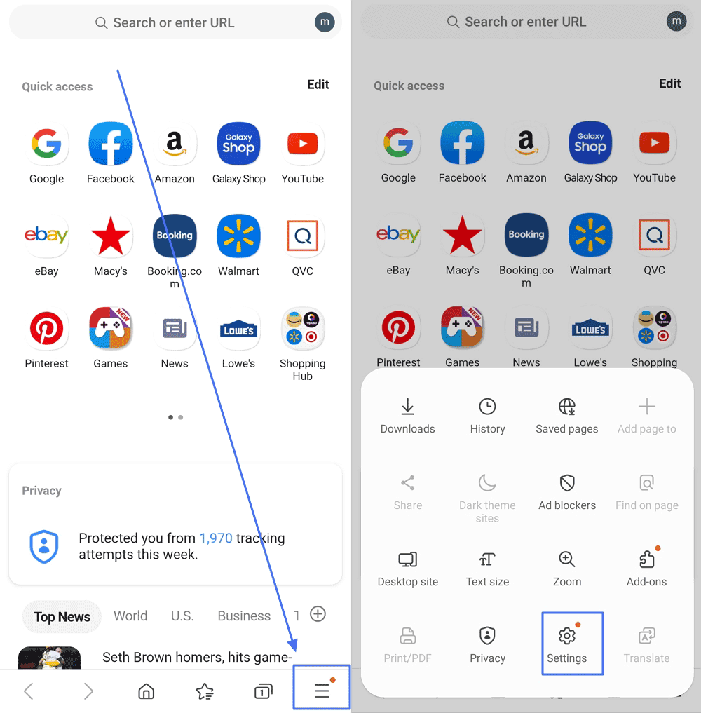 Samsung Internet Settings