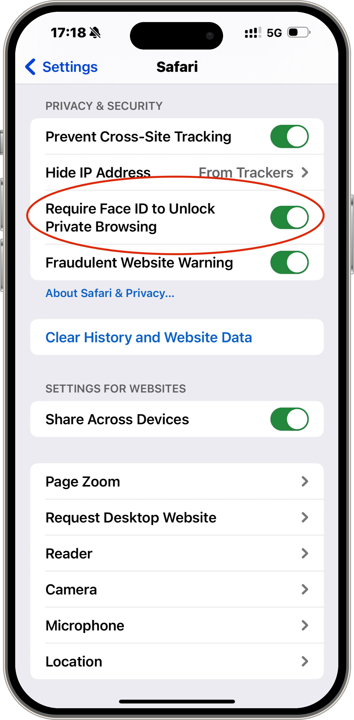 turn on locked incognito browsing on safari