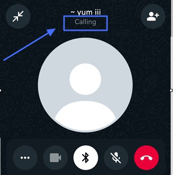 WhatsApp call status Calling