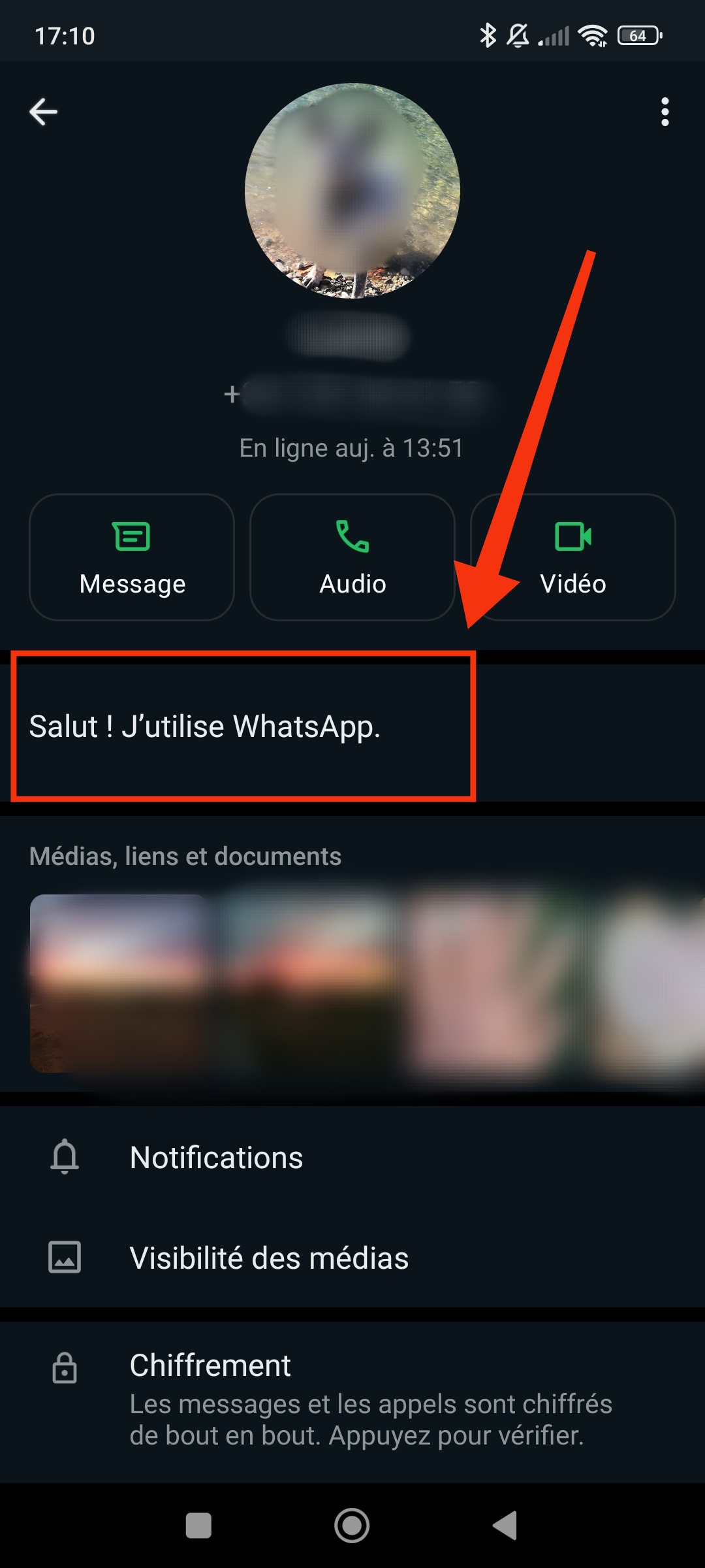 Statut en ligne WhatsApp