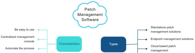 Patch management software's types and characteristics