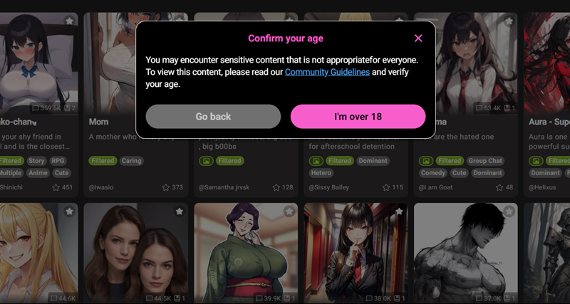 Conferma dell'età su CrushOn AI