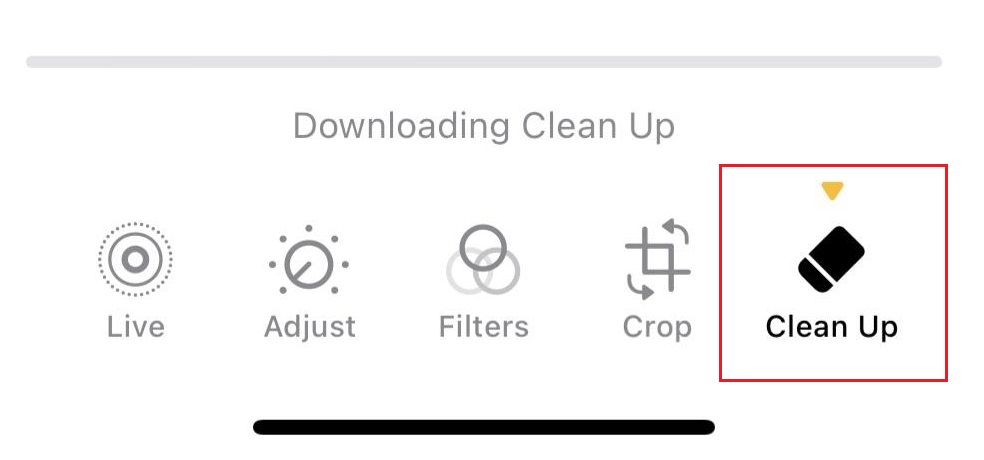 Clean Up on iPhone Photos