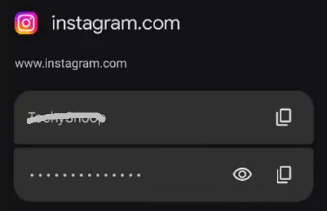 saved login credentials of Instagram