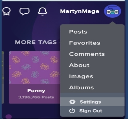 Tap Imgur settings