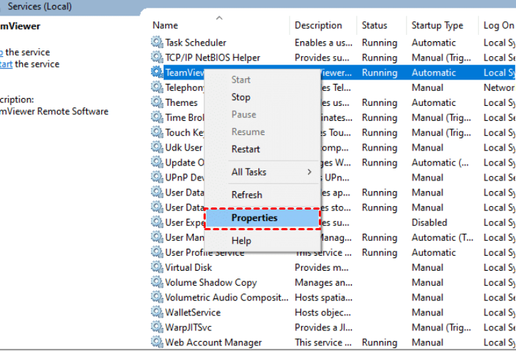 teamviewer properties services