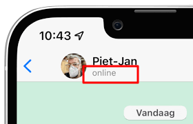 Online-Status im WhatsApp-Chat