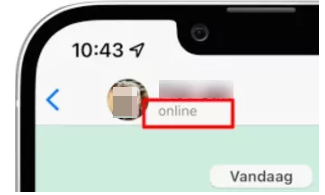 WhatsApp sohbetinde çevrimiçi durumu