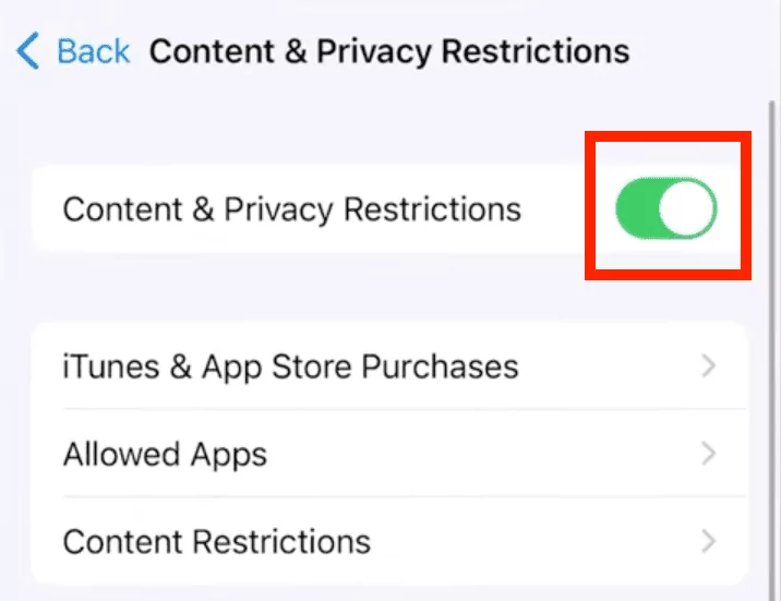 disattivare restrizioni contenuti e privacy