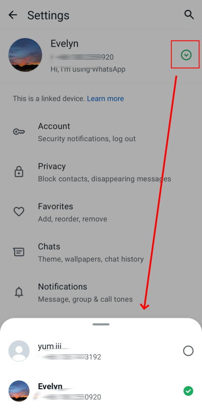 switch WhatsApp account